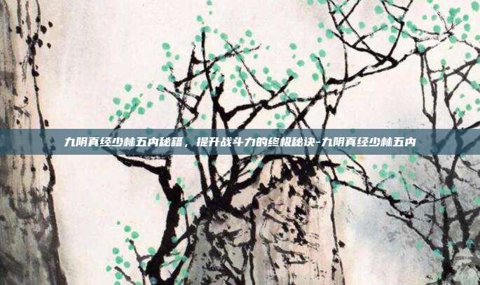 九阴真经少林五内秘籍,提升战斗力的终极秘诀-九阴真经少林五内