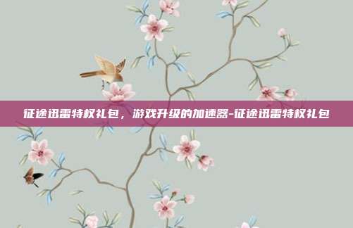 征途迅雷特权礼包,游戏升级的加速器-征途迅雷特权礼包