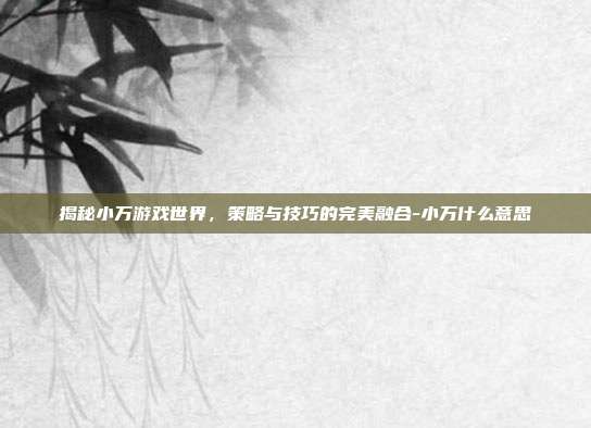 揭秘小万游戏世界,策略与技巧的完美融合-小万什么意思