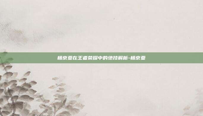 杨京亚在王者荣耀中的绝技解析-杨京亚