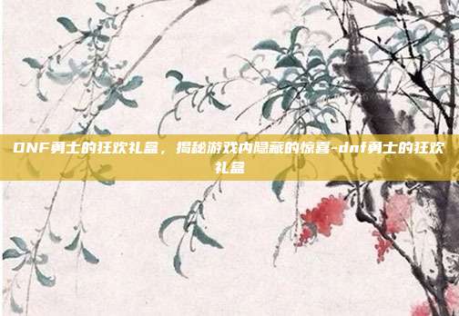 DNF勇士的狂欢礼盒,揭秘游戏内隐藏的惊喜-dnf勇士的狂欢礼盒