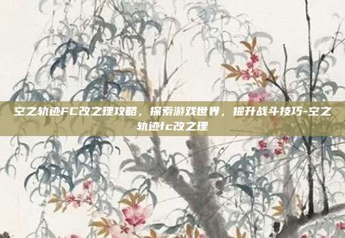 空之轨迹FC改之理攻略,探索游戏世界,提升战斗技巧-空之轨迹fc改之理