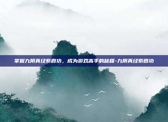 掌握九阴真经紫霞功,成为游戏高手的秘籍-九阴真经紫霞功
