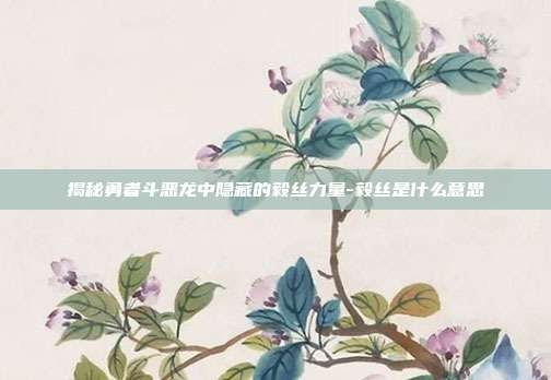 揭秘勇者斗恶龙中隐藏的毅丝力量-毅丝是什么意思