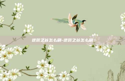 逆袭之谷怎么刷-逆袭之谷怎么刷