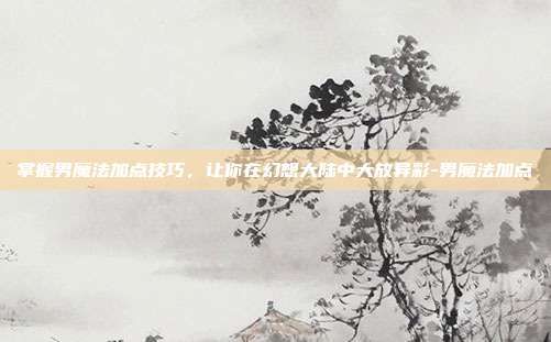 掌握男魔法加点技巧,让你在幻想大陆中大放异彩-男魔法加点