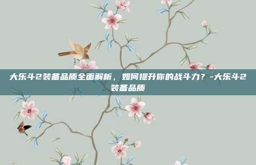 大乐斗2装备品质全面解析,如何提升你的战斗力?-大乐斗2装备品质