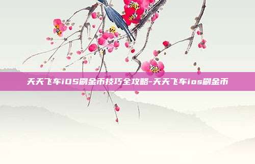 天天飞车iOS刷金币技巧全攻略-天天飞车ios刷金币