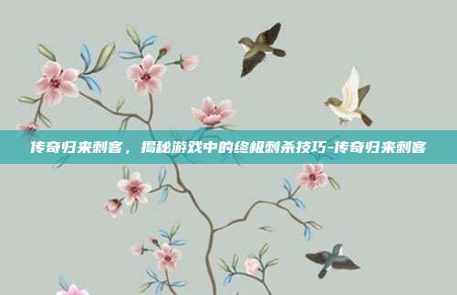 传奇归来刺客,揭秘游戏中的终极刺杀技巧-传奇归来刺客