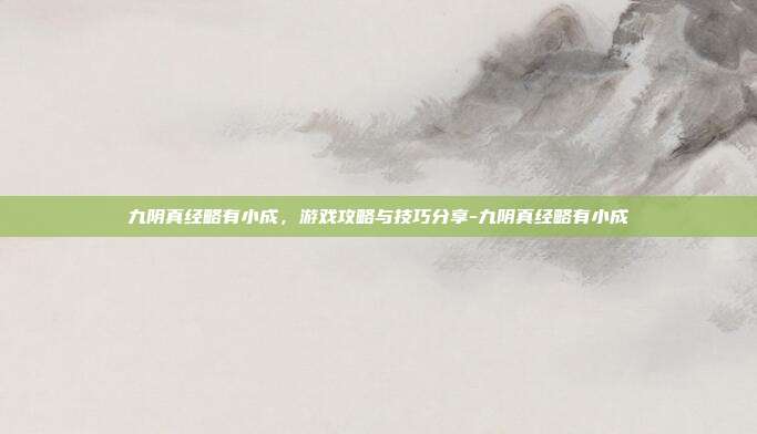 九阴真经略有小成,游戏攻略与技巧分享-九阴真经略有小成