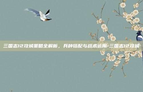 三国志12攻城策略全解析,兵种搭配与战术运用-三国志12攻城