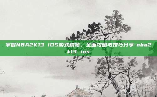 掌握NBA2K13 iOS游戏精髓,全面攻略与技巧分享-nba2k13 ios