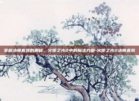 掌握法师套装的奥秘,火炬之光2中的魔法力量-火炬之光2法师套装