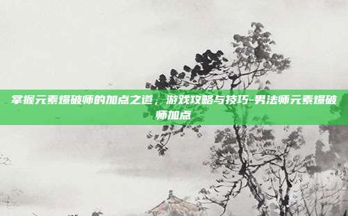 掌握元素爆破师的加点之道,游戏攻略与技巧-男法师元素爆破师加点
