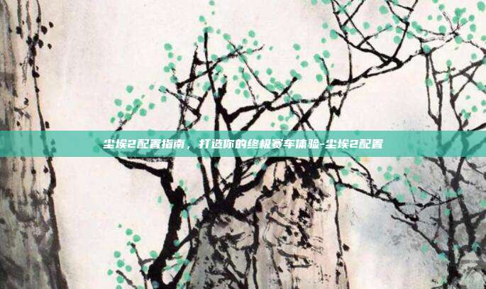 尘埃2配置指南,打造你的终极赛车体验-尘埃2配置
