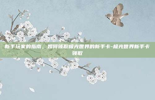 新手玩家的指南,如何领取极光世界的新手卡-极光世界新手卡领取