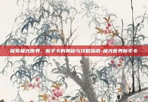 探索极光世界,新手卡的奥秘与攻略指南-极光世界新手卡