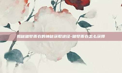 揭秘暗梦雨衣的神秘获取途径-暗梦雨衣怎么获得