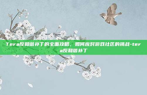 Tera反和谐补丁的全面攻略,如何应对游戏社区的挑战-tera反和谐补丁