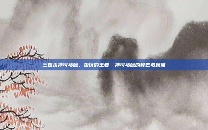 三国杀神司马懿,蛰伏的王者—神司马懿的锋芒与权谋