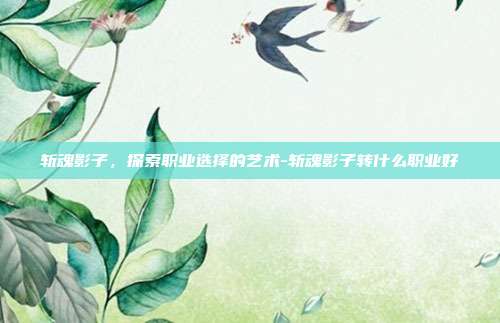 斩魂影子,探索职业选择的艺术-斩魂影子转什么职业好