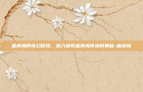 盖皮梅的奇幻冒险,深入探索盖皮梅传说的奥秘-盖皮梅