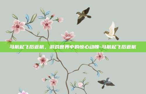 马航起飞后返航,游戏世界中的惊心动魄-马航起飞后返航