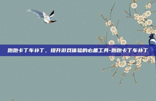 跑跑卡丁车补丁,提升游戏体验的必备工具-跑跑卡丁车补丁