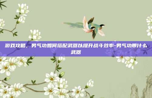 游戏攻略,男气功如何搭配武器以提升战斗效率-男气功带什么武器