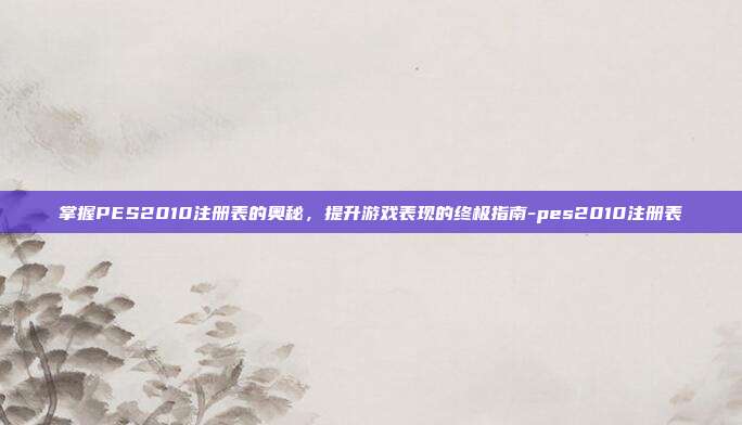 掌握PES2010注册表的奥秘，提升游戏表现的终极指南-pes2010注册表