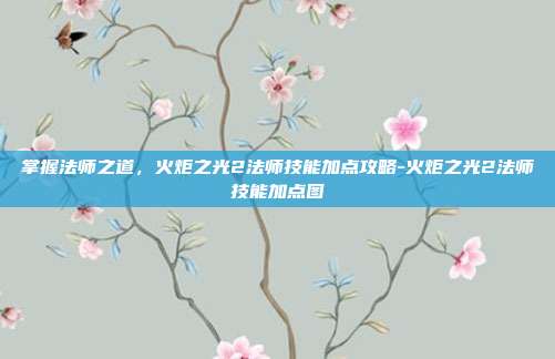 掌握法师之道,火炬之光2法师技能加点攻略-火炬之光2法师技能加点图
