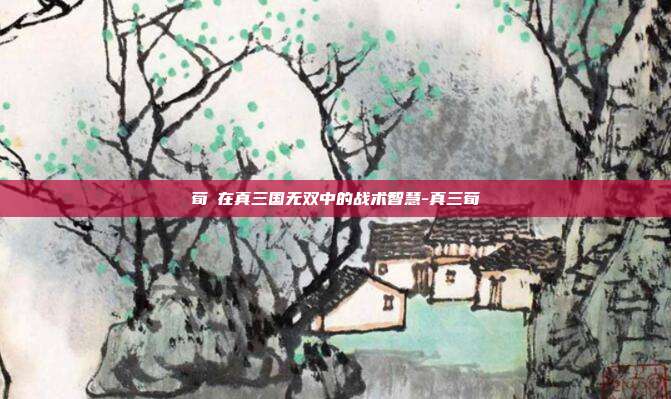 荀彧在真三国无双中的战术智慧-真三荀彧