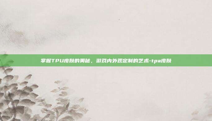 掌握TPU皮肤的奥秘,游戏内外观定制的艺术-tpa皮肤