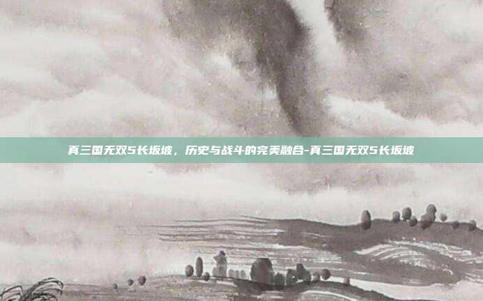 真三国无双5长坂坡,历史与战斗的完美融合-真三国无双5长坂坡