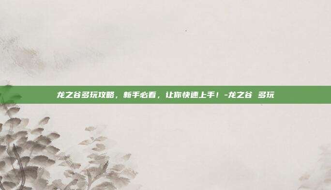 龙之谷多玩攻略,新手必看,让你快速上手!-龙之谷 多玩