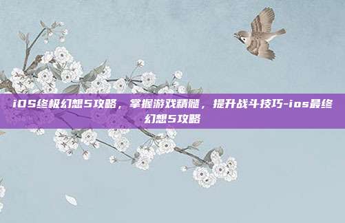 iOS终极幻想5攻略,掌握游戏精髓,提升战斗技巧-ios最终幻想5攻略