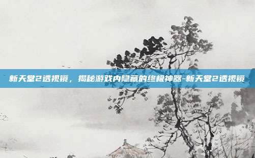 新天堂2透视镜,揭秘游戏内隐藏的终极神器-新天堂2透视镜