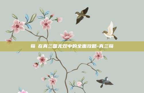 荀彧在真三国无双中的全面攻略-真三荀彧