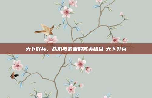 天下好兵,战术与策略的完美结合-天下好兵