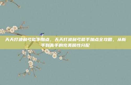 天天打波利弓箭手加点,天天打波利弓箭手加点全攻略,从新手到高手的完美属性分配