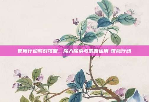 夜鹰行动游戏攻略,深入探索与策略运用-夜鹰行动