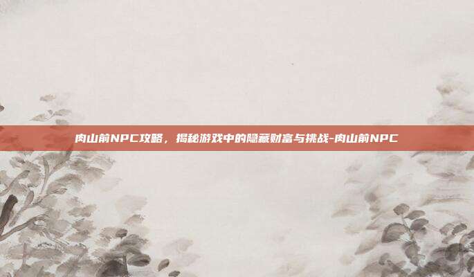 肉山前NPC攻略,揭秘游戏中的隐藏财富与挑战-肉山前NPC