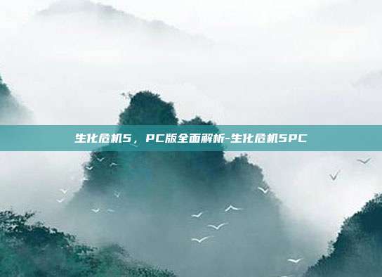 生化危机5,PC版全面解析-生化危机5PC