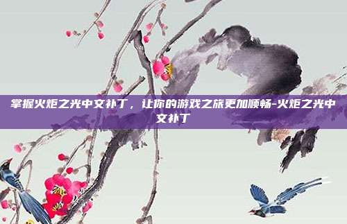 掌握火炬之光中文补丁,让你的游戏之旅更加顺畅-火炬之光中文补丁