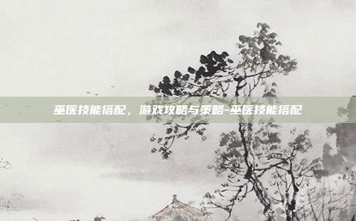 巫医技能搭配,游戏攻略与策略-巫医技能搭配
