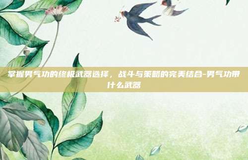 掌握男气功的终极武器选择,战斗与策略的完美结合-男气功带什么武器