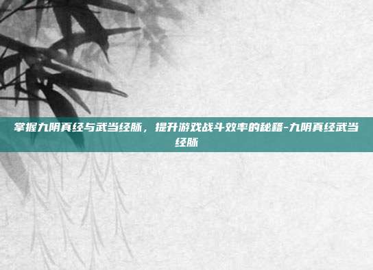掌握九阴真经与武当经脉,提升游戏战斗效率的秘籍-九阴真经武当经脉