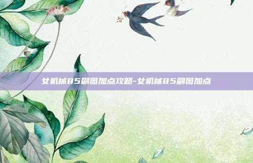 女机械85刷图加点攻略-女机械85刷图加点