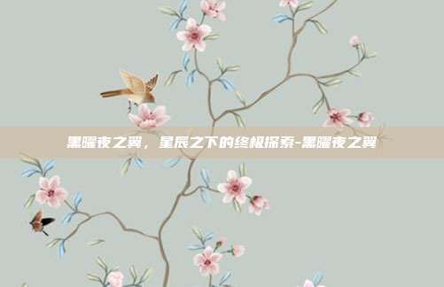 黑曜夜之翼,星辰之下的终极探索-黑曜夜之翼