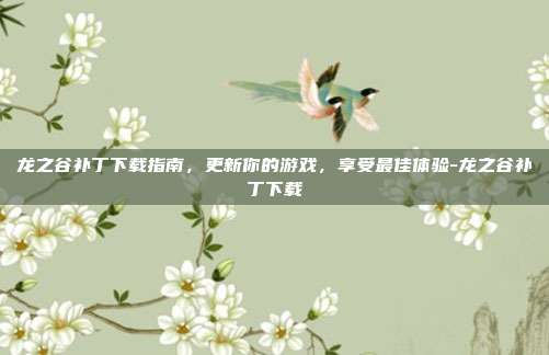 龙之谷补丁下载指南,更新你的游戏,享受最佳体验-龙之谷补丁下载